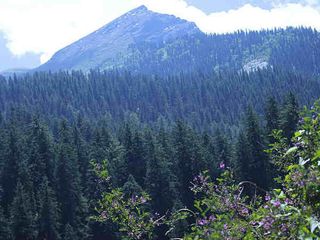 Ten Hidden Places In Manali Every Traveller Must Visit