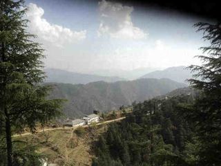 Habban Valley Rajgarh Himachal Pradesh