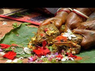 Weird Tradition In India Hindi