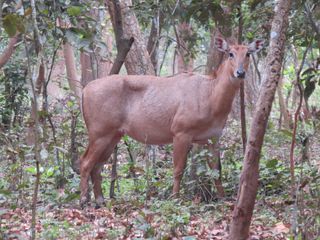 Best Places Visit Pilibhit