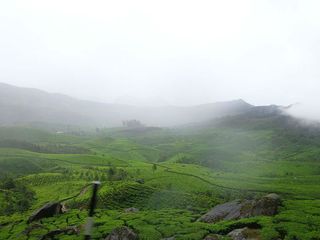 Hours Munnar Here S Complete Guide On What See Do Hindi