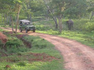 A Road Trip From Bengaluru Wayanad Hindi