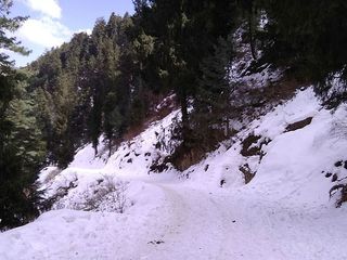 Offbeat Places Around Shimla Every Traveller Must Explore Hindi