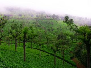 Best Weekend Getaways From Coimbatore Hindi