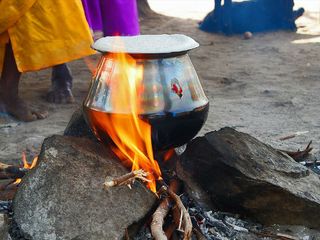 Best Places Visit During Pongal Hindi