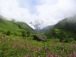 Travelogue Valley Of Flower Trek