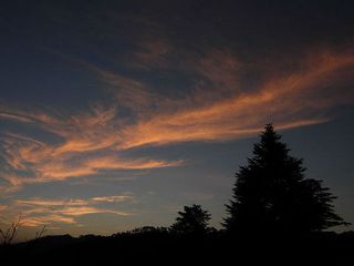 Destinations Travel In North India This January Hindi