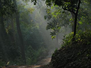 Top Honeymoon Destination Uttarakhand Hindi