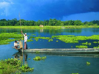 Top Ten Things Assam Is Famous For
