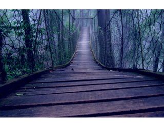 India S First Canopy Walk Karnataka Hindi