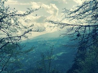 Why You Should Visit Auli Summer Hindi