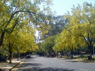 Topmost 6 Reason Visit Chandigarh North India Hindi