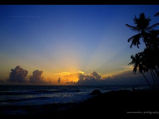 Places To Visit In Kovalam Kerala Hindi