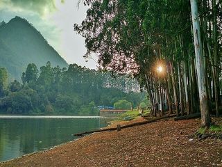Top 5 Places To Visit In Devikulam Kerala Hindi
