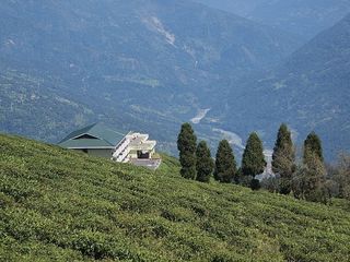 Summer Destination In Sikkim Namchi North East Hindi