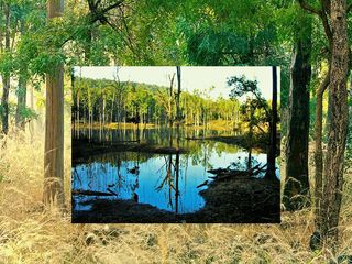 Visit To Pench National Park Seoni Chhindwara Madhya Pradesh Hindi