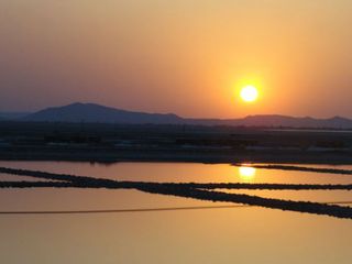 Sambhar Lake In Rajasthan History Timings And How To Reach