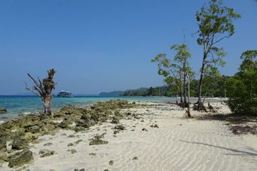 Travel Guide To Diglipur In Andaman And Nicobar Islands