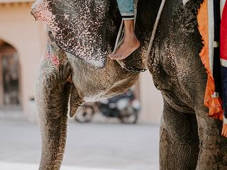 Travel Tips To Remember When Travelling To South India