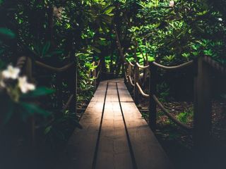 Eco Tourism Center To Be Built In Kusmhi Forest Of Gorakhpur