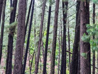 List Of Best Places To Visit In Amarkantak In Hindi