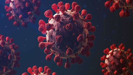 Cases Of Corona Infection Are Increasing Again Across The Country