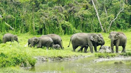 Off Beat Tourist Destinations Of West Bengal