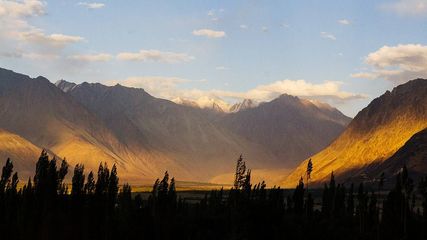 If You Love Adventure Then Do Camping In Ladakh S Nubra Valley