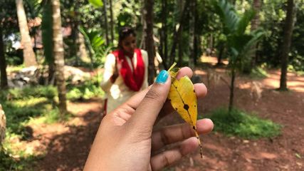 Things To Do In Goa Why You Should Add Spice Village Tours To Your Goa Itinerary Know Details