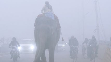 Weather Update Delhi Bihar Uttar Pradesh Patna Lucknow Will Welcome New Year In Dense Fog Cold Wave