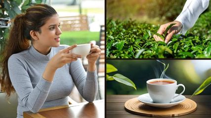 International Tea Day Tea Map Which Tea Is Most Famous In Which State Of India