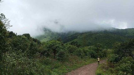 Irctc Visit Coorg From Madurai Monsoon Trip Know Package Details Itinerary Ticket Price And Details