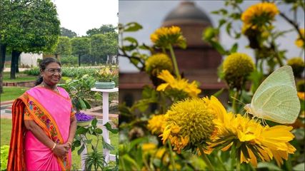 Delhi Rashtrapati Bhavan Amrit Udyan Reopened For Tourists Know Entry Fee And Closing Date