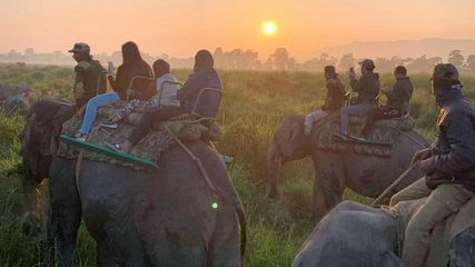 Assam Kaziranga National Park Is Reopening For Tourists From 1st October
