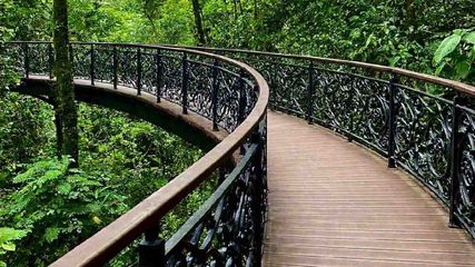 Mumbai S First Elevated Forest Walkway At Malabar Hills When Will Open And Its Specialties