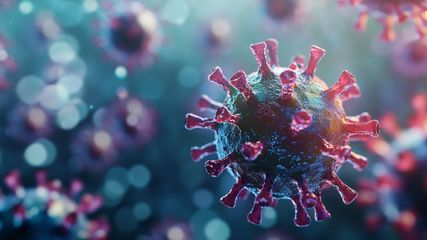 Bengaluru Hmpv Virus First Case In India Reported Guidelines Issued In Delhi Details