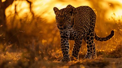 Special Permission Has To Be Taken Before Entering These 5 National Parks