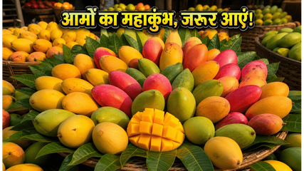 Delhi Mango Festival 2026 Dilli Haat Janakpuri Guide 