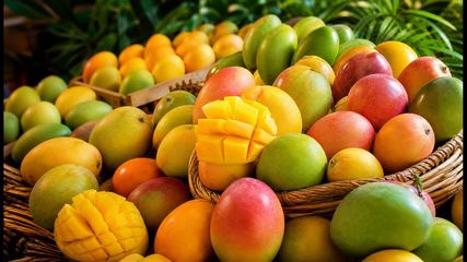 Mango Festival 2026 Dilli Haat Janakpuri Rare Varieties 