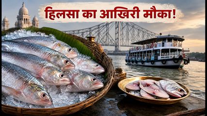 Kolkata Hilsa Fish Guide 2026 Best Restaurants Market Prices 