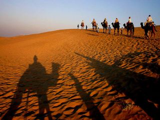 Camel Rides in India
