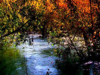 Unexplored Sanctuaries of Rajasthan