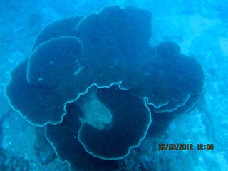 Tarkarli: For Adventure and Serenity