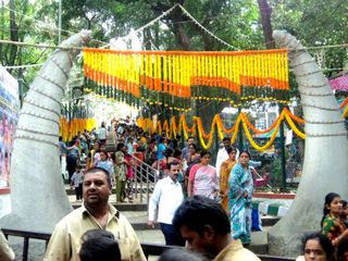 Groundnut Fair | Kadalekai Parishe | Bangalore