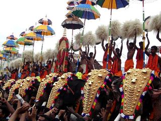 A Guide to Elephant Festivals of Kerala