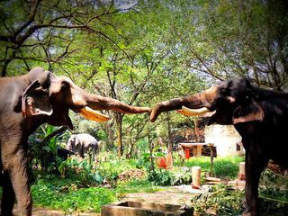 Kerala Tourist Places for All Seasons