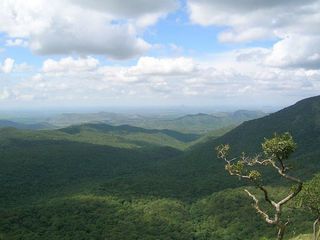 Mudumalai, Nature's Paradise