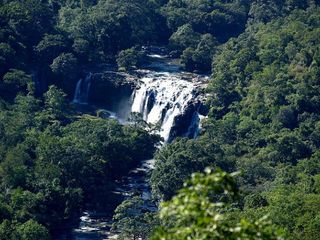 Travel to the 12 Mesmerising Waterfalls of Tamil Nadu
