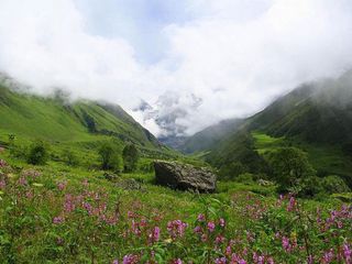 Travel to the Scenic Hill Stations of Uttarakhand