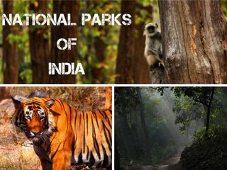 Wildlife Tourism - Have you been to these 5 National Parks of India?